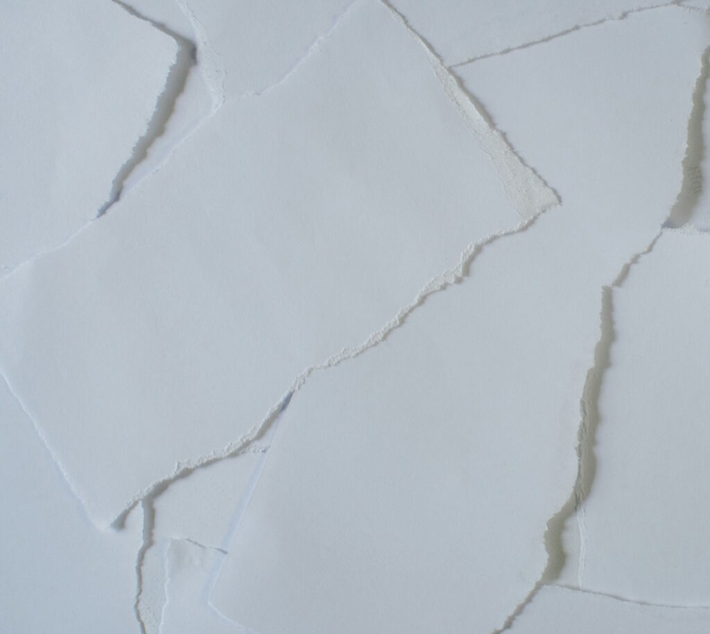 Paper scraps